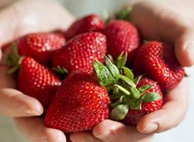 10 خاصیت شگفت انگیز توت فرنگی برای سلامتی