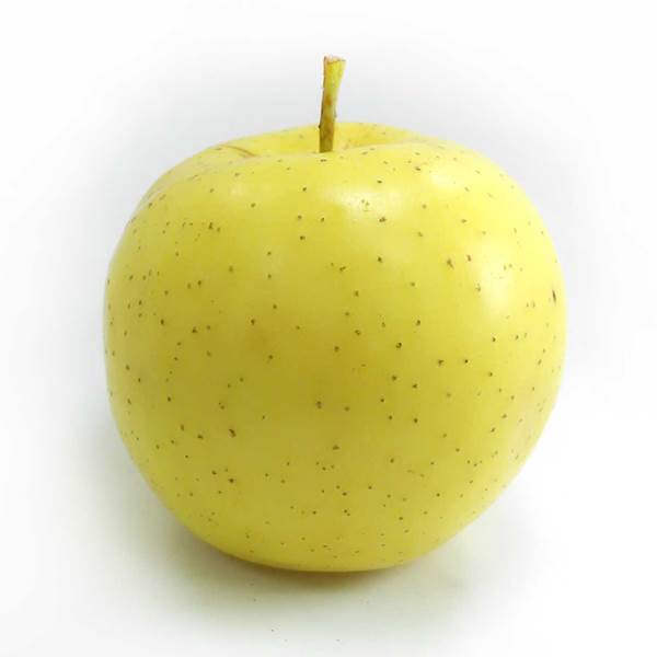 سیب زرد
