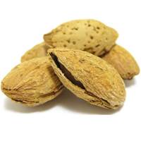 بادام درختی