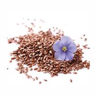 تخم گیاهان دارویی