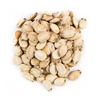 تخمه هندوانه